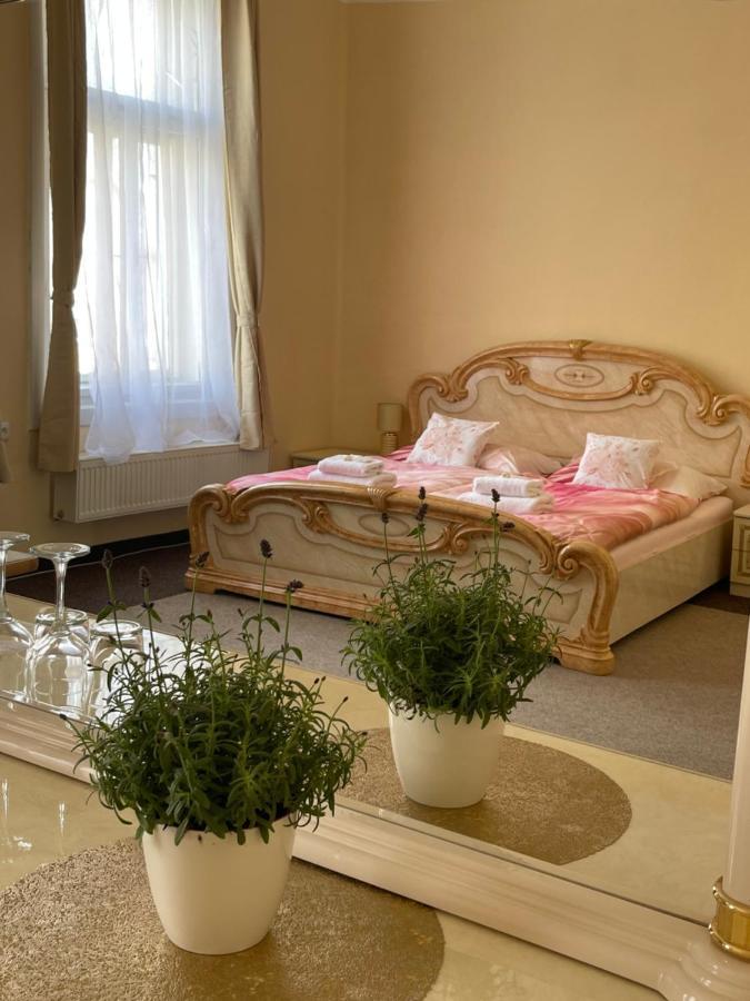 Apartmany Vila Tyniste Tyniste nad Orlici ภายนอก รูปภาพ